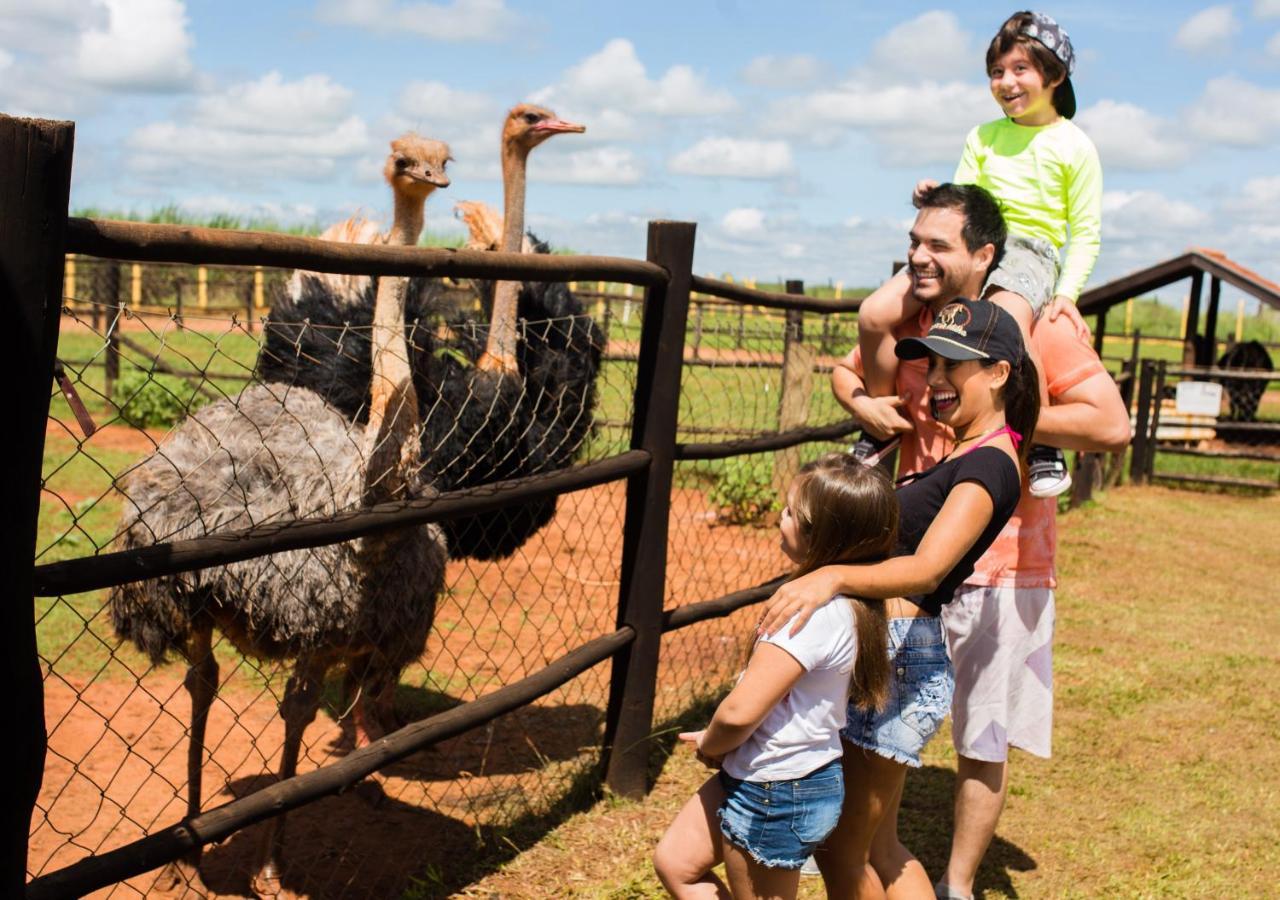 Hotel Country Park & 4*
