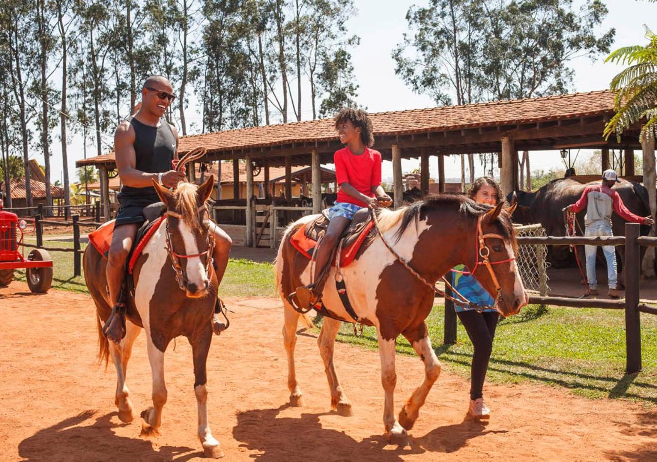 Hotel Country Park & Barretos